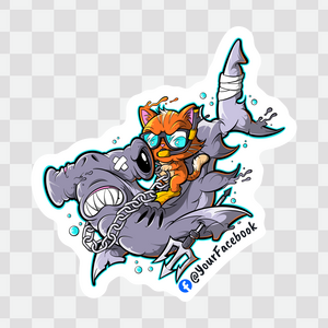 Shark Kitty